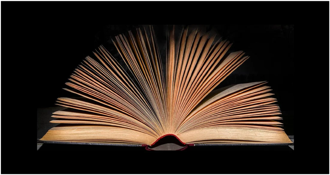 Livro aberto em leque — referência de forma